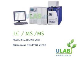  ال سی مس مس LC MS MS - lc mass mass